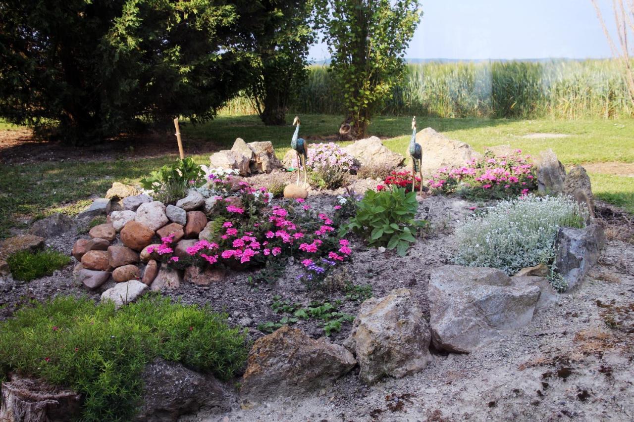 Domaine De La Pendule Bed and Breakfast Issel Exteriör bild